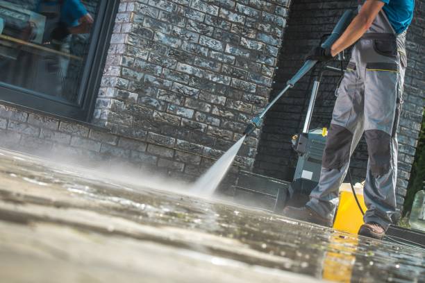 Best Animal Enclosure Cleaning  in Marion, OH